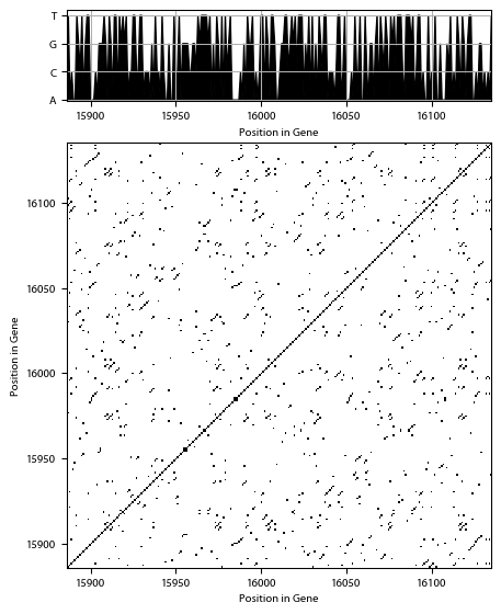 Recurrence plot of the day.