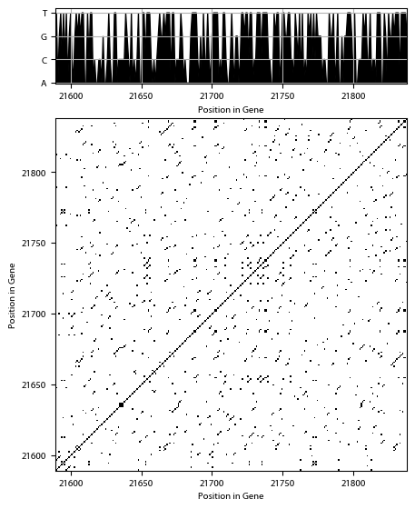 Recurrence plot of the day.